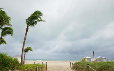 Storm Life in South Florida: Water Damage Doesn’t Play Favorites