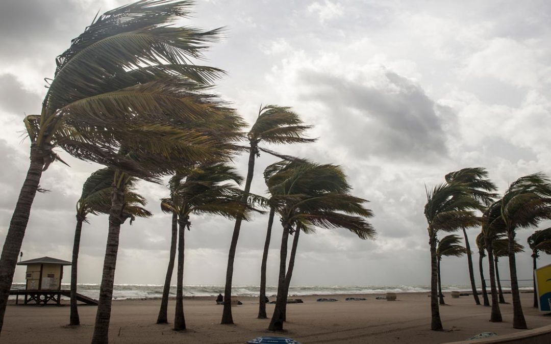 Who Helps with Hurricane Irma Home Insurance Claims in Boynton Beach?